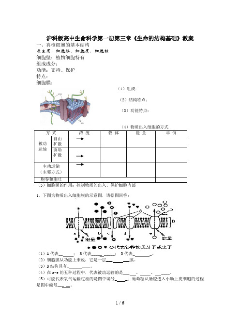 沪科版高中生命科学第一册第三章《生命的结构基础》教案