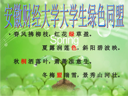 11~12星级评比幻灯片