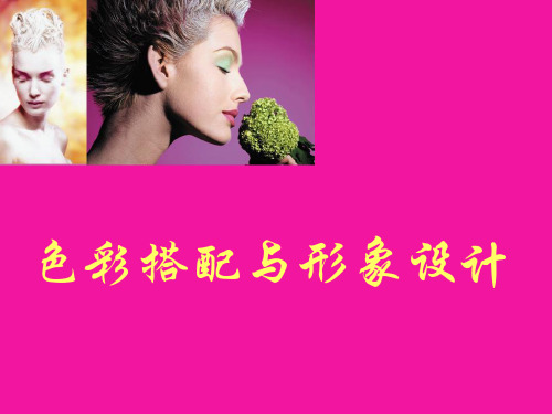 魅力女人_色彩搭配与形象设计