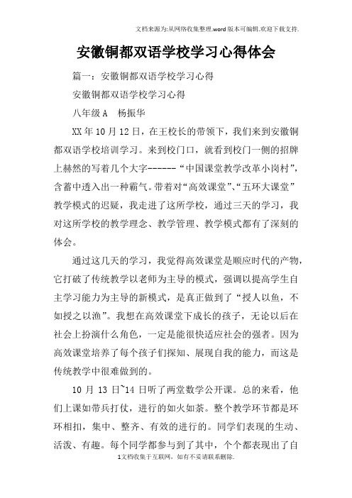 安徽铜都双语学校学习心得体会
