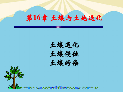 【优质】土壤与土地退化全解PPT资料