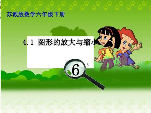 六年级数学下册4.1放大与缩小 PPT精品课件(新版)苏教版
