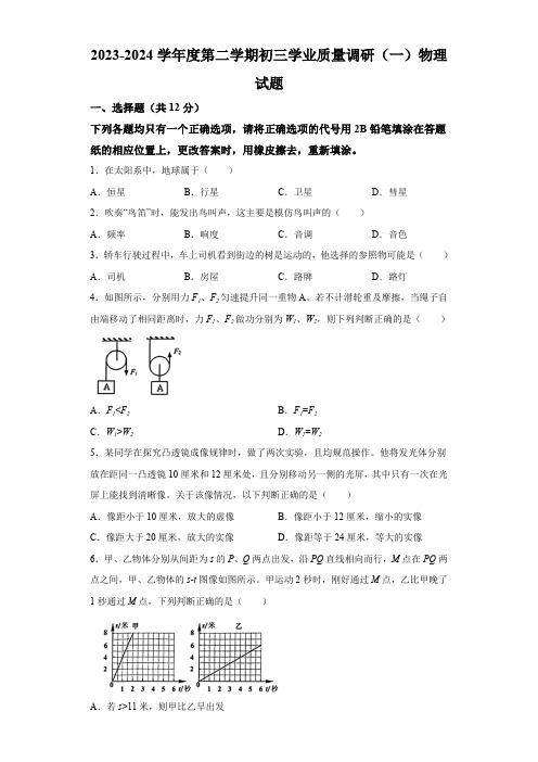 2024年上海市杨浦区中考二模物理试题(含解析)