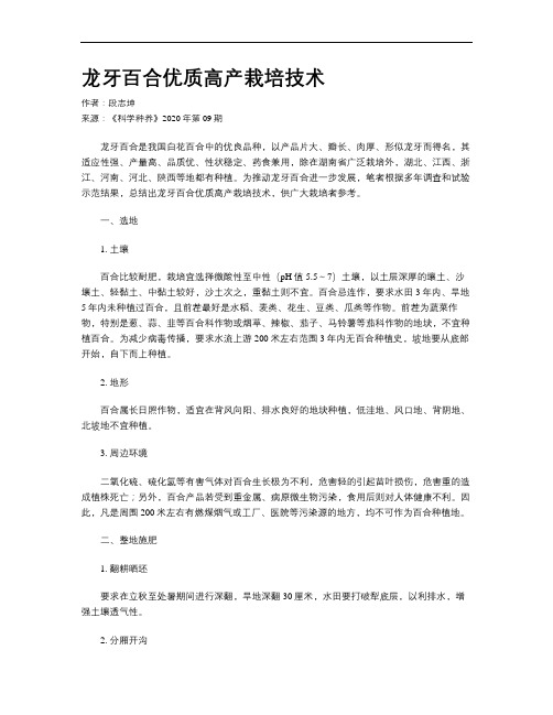 龙牙百合优质高产栽培技术