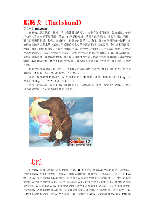腊肠犬