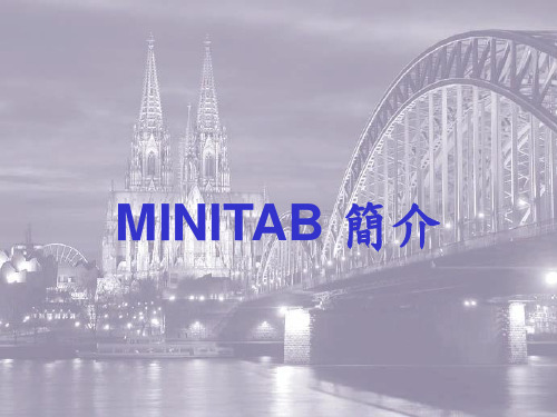 MINITAB简介