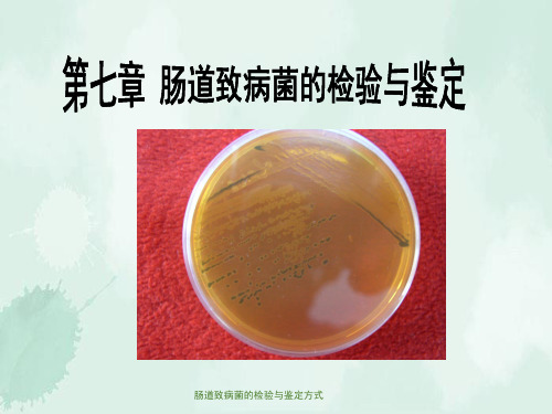 肠道致病菌的检验与鉴定方式