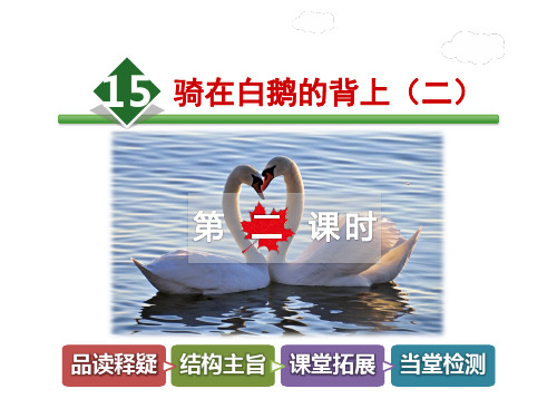 长春版五年级上册语文课件-15.骑在白鹅的背上(二)第2课时