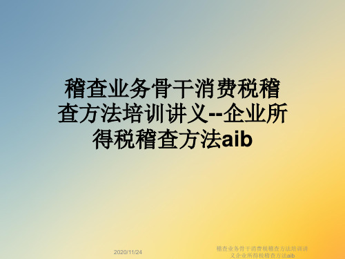 稽查业务骨干消费税稽查方法培训讲义企业所得税稽查方法aib