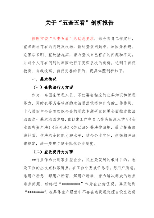 五查五看剖析报告