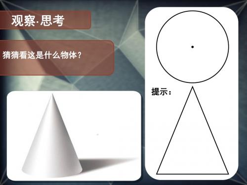 人美版美术八下2手绘线条图像-物象得多视角表达