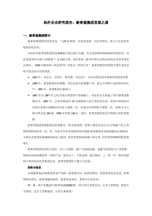 标杆企业研究报告-新希望集团剖析【范本模板】