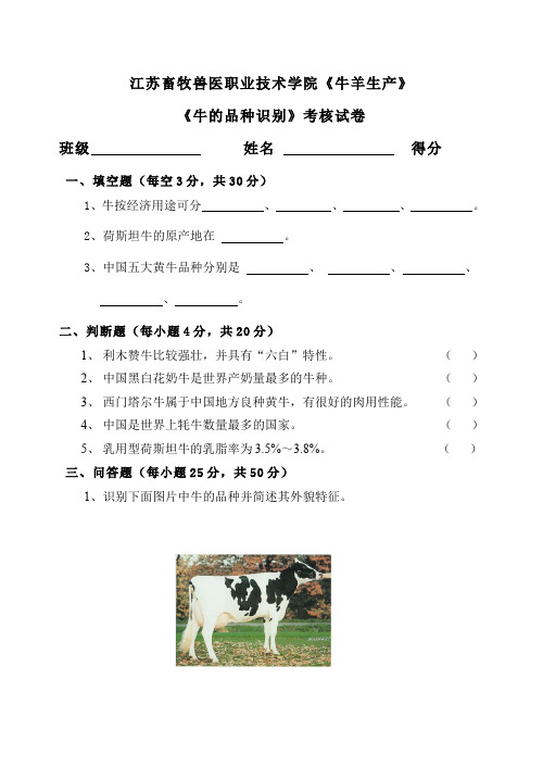 (5)--牛的品种识别