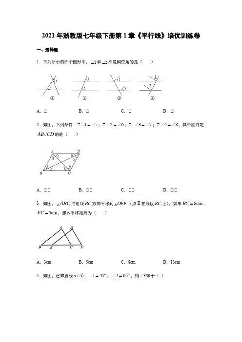 2020-2021学年七年级数学浙教版下册第1章《平行线》培优训练卷