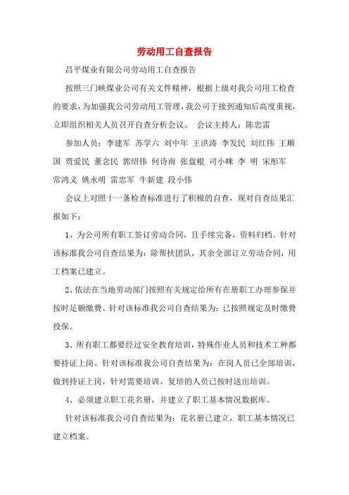 劳动用工自查报告