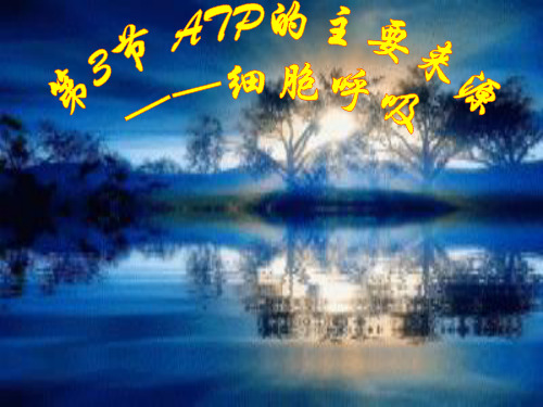 新版20203 ATP的主要来源 ——细胞呼吸(共37张PPT)学习演示PPT课件