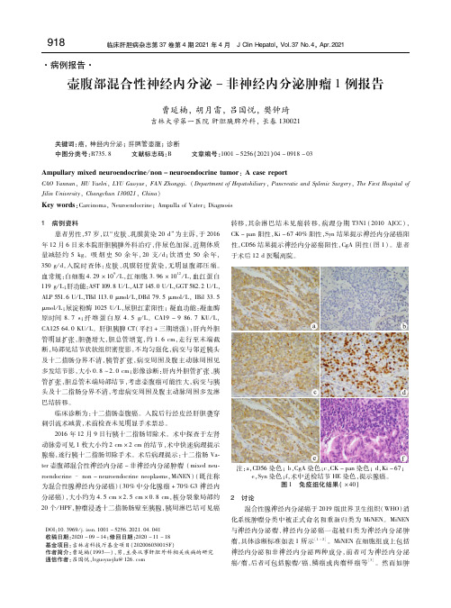 壶腹部混合性神经内分泌-非神经内分泌肿瘤1例报告
