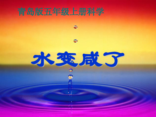 科学《水变咸了》课件