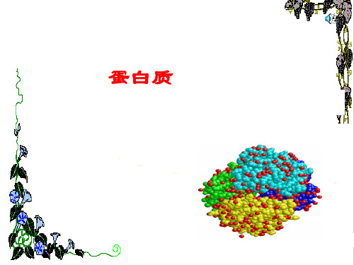 高一化学必修2 ——蛋白质和氨基酸