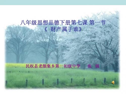 财产属于谁课件