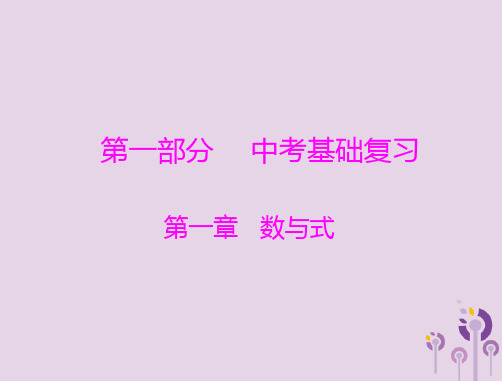 广东省2018中考数学复习 第一部分 中考基础复习 第一章 数与式 第1讲 实数课件