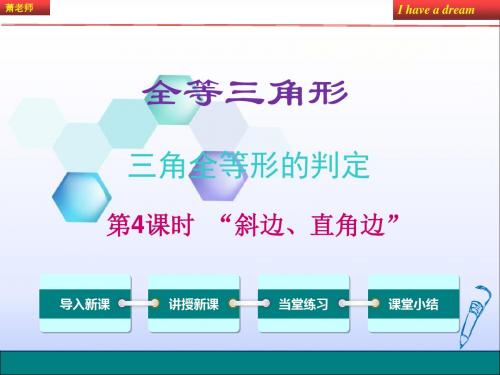 12.2 第4课时  “斜边、直角边”
