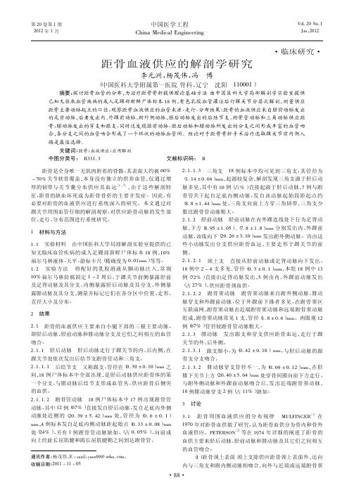 距骨血液供应的解剖学
