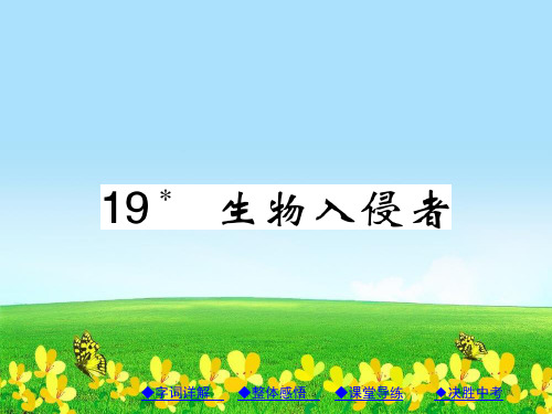 【初中语文】新人教版八年级语文上册第四单元19《生物入侵者》ppt课件