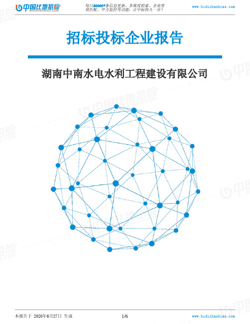 湖南中南水电水利工程建设有限公司-招投标数据分析报告