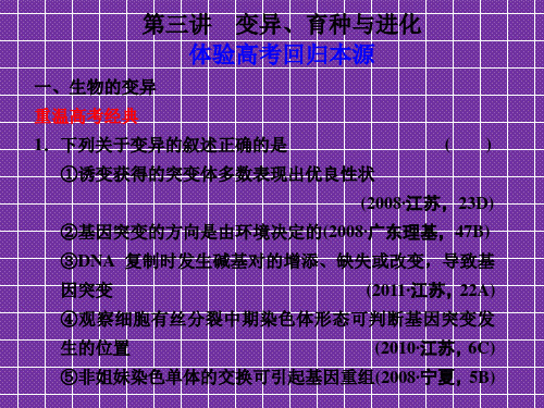 2012高考生物步步高二轮复习精品课件专题四遗传、变异和进化3