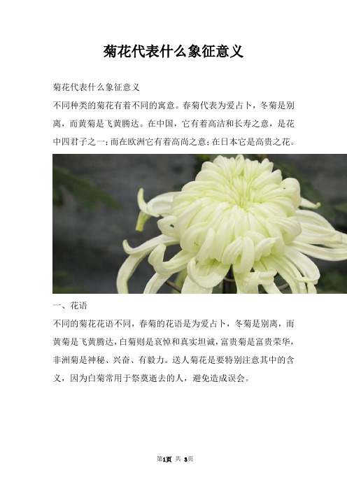 菊花代表什么象征意义