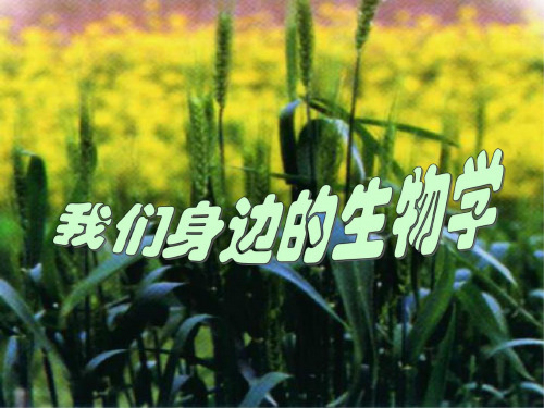 七年级生物我们身边的生物学