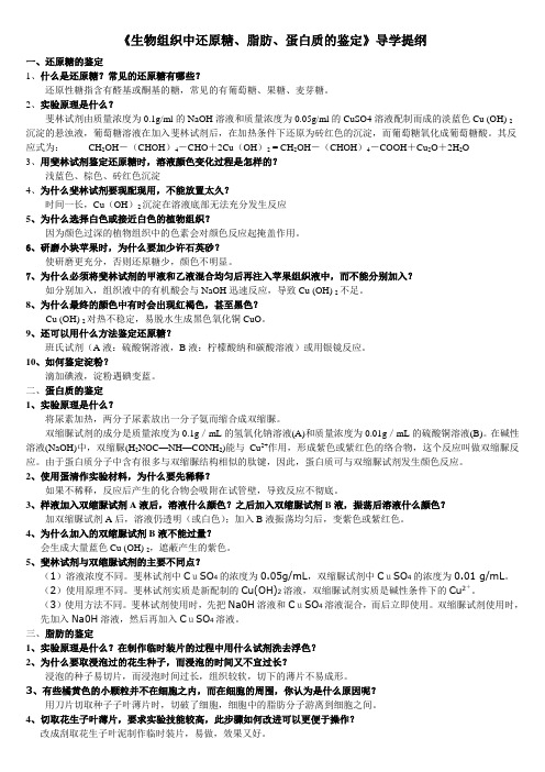 生物组织中还原糖.