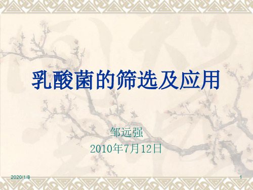 乳酸菌的筛选及应用.ppt