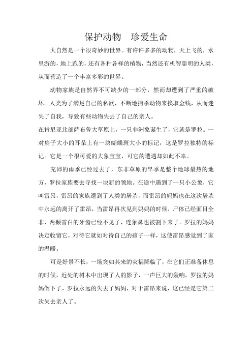 保护动物  珍爱生命