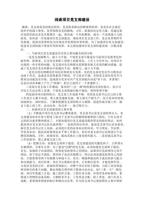 浅谈项目党支部建设