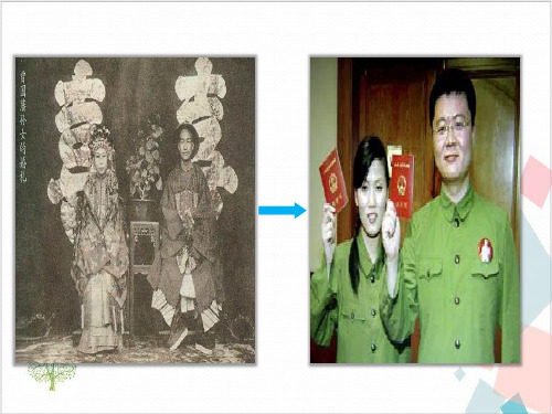 高中历史人教版必修二物质生活与习俗的变迁课件PPT
