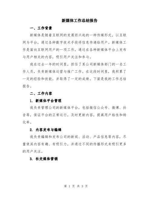 新媒体工作总结报告