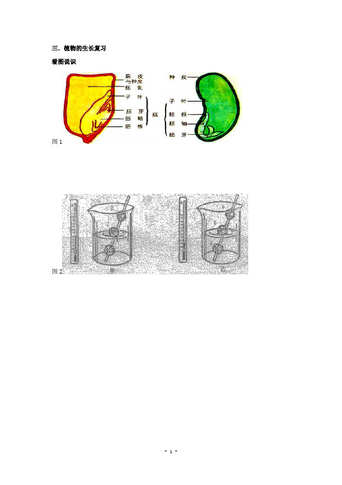 (浙教版)七年级科学下册第1章代代相传的生命专题复习：植物的生长