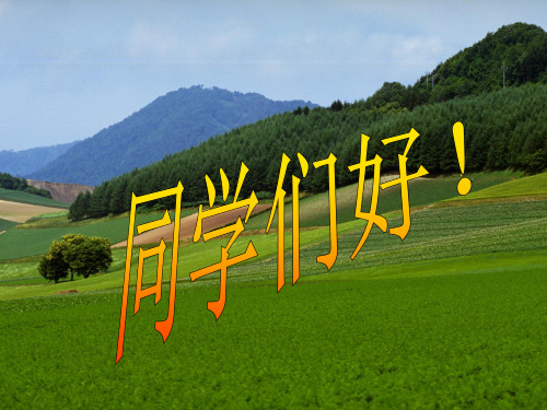 财务案例研究培训课程(ppt 48页)