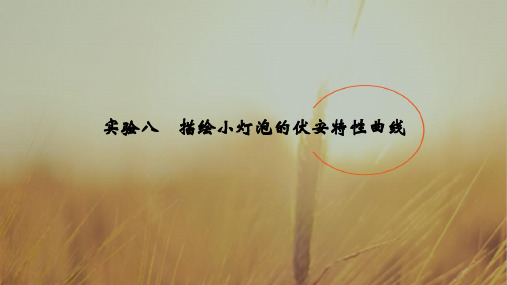 2019版高考物理创新大一轮基础课+能力课+实验课江苏专用版课件：第八章 恒定电流 实验八 精品