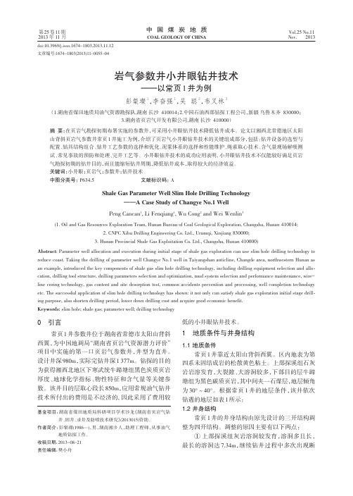 页岩气参数井小井眼钻井技术--以常页1井为例