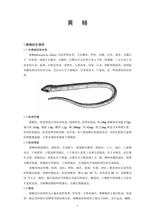1黄鳝的生物学