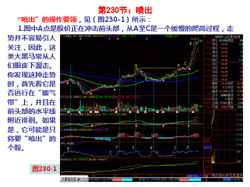 唐能通300天之24