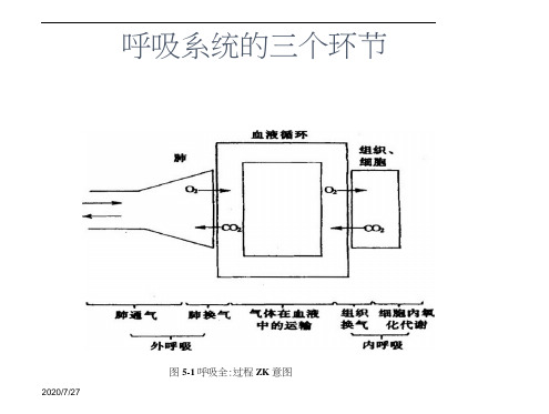 氧气吸入法课件