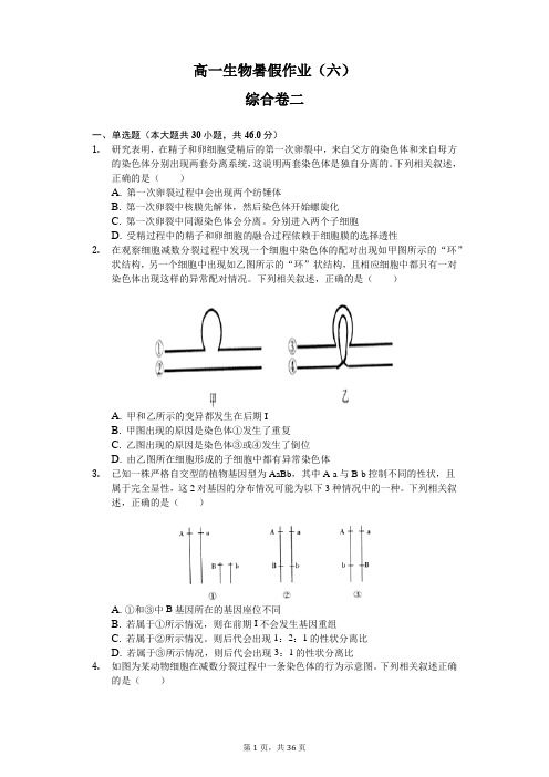 高一生物假期作业(必修二综合)带答案