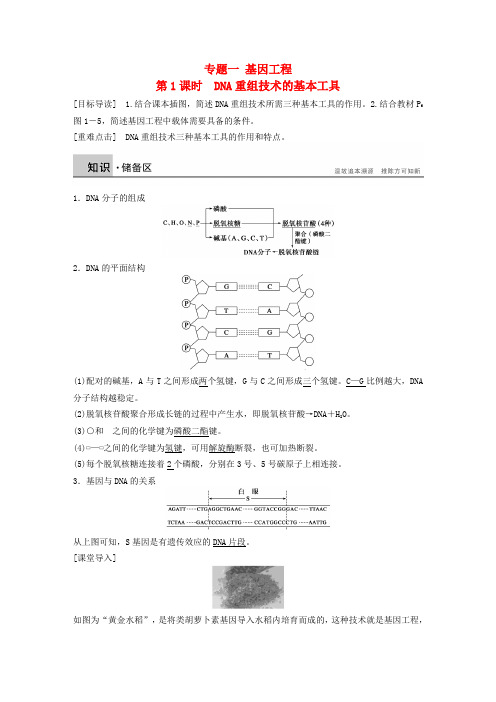 高中生物 专题一 基因工程 第1课时 DNA重组技术的基本工具学案 新人教版选修3