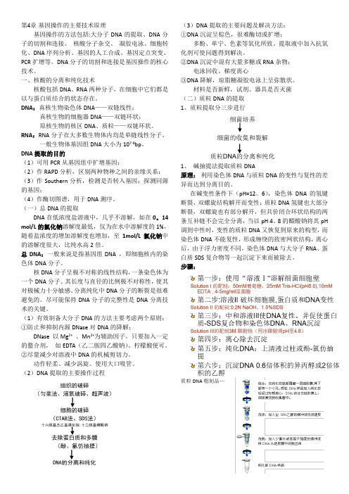 吴乃虎《基因工程原理》4-6知识点总结资料