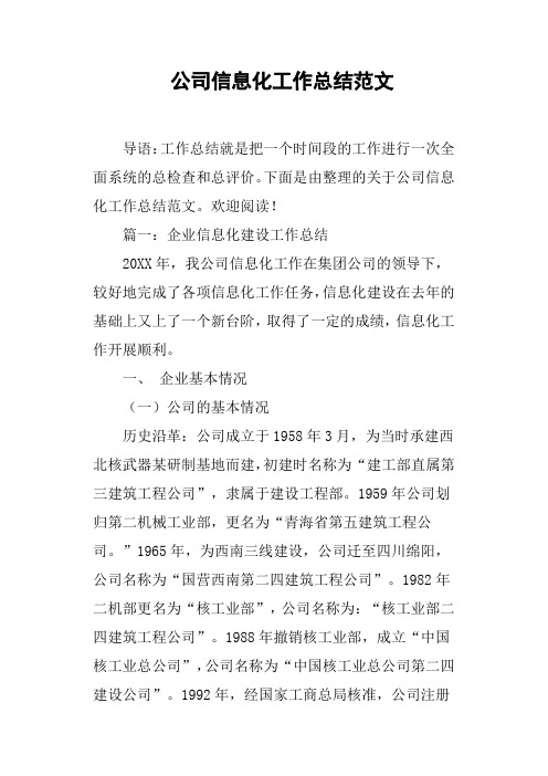 公司信息化工作总结范文