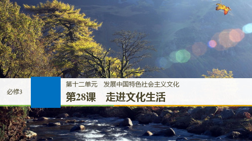 2019届高考政治一轮复习第十二单元发展中国特色社会主义文化第28课走进文化生活课件新人教版必修3